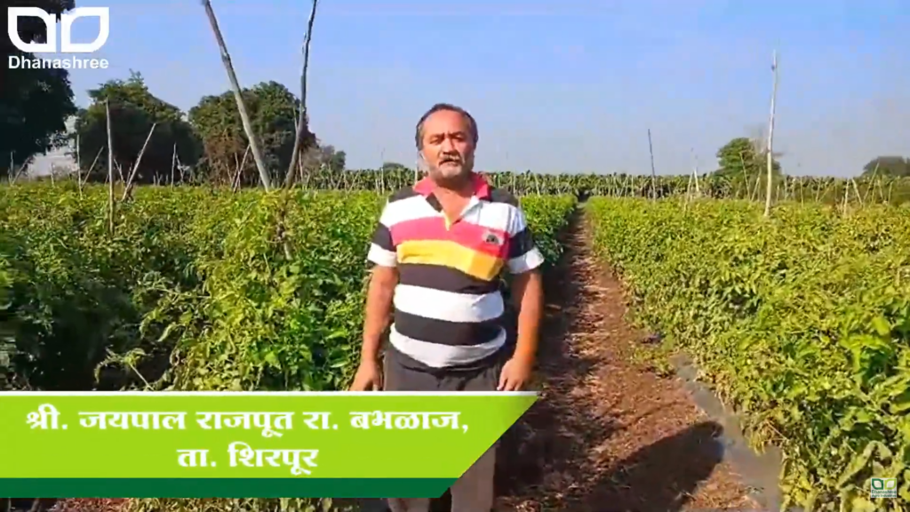 Mr. Jaipal Rajput - Dhanashree Agro